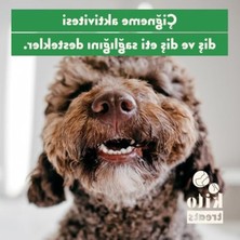 Odea Kurutulmuş Dana Kuyruk Çiğnemelik Köpek Ödülü, 100 gr