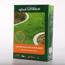Odea 1 kg Yonca Karışım Çim Tohumu, Kolay Bakım ve Hızlı Büyüme