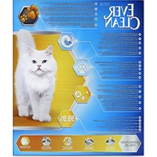 Odea Tozsuz Formüle Sahip Kedi Kumu 10 Lt, 2 Paket