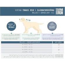 Odea Max & Molly Urban Pets Matrix 2.0 Akıllı Künyeli Köpek Boyun Tasması – Güvenli ve Konforlu Tasma (Rose, S)