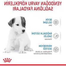 Odea Bebek Köpek Sütü, 400 Gr, Büyüme Desteği