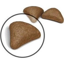 Odea Sindirim Destekli Kedi Maması, 2 kg