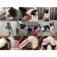 Odea Kedi ve Köpek Için Kendi Kendini Temizleyen Tüy Tarağı (Pembe)