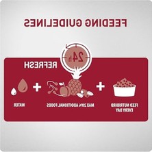 Odea Papağan Pelet Yemi, 1 kg Enerji Sınıfı A+ Kalitesinde
