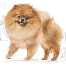 Odea Yetişkin Pomeranian Köpek Irk Maması 3 kg - Özel Formül
