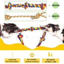 Odea Renkli Çekiştirme Halatı, Pamuk Köpek Oyuncağı Seti