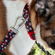 Odea Kadifemsi Dokulu Geri Dönüştürülmüş Malzemeden Köpek Gezdirme Kayışı - Kırmızı