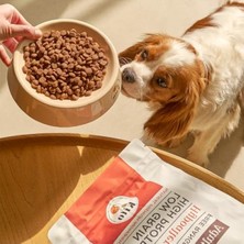 Odea 2.5 kg Kuzu Etli Doğal Besi Yetişkin Mini Irk Köpek Maması
