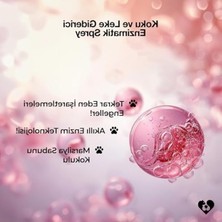 Odea 50 ml Enzimatik Sprey, Koku ve Leke Giderici Özellikte