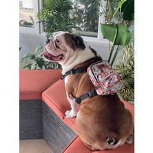 Odea Su Geçirmez Çok Cepli Köpek Sırt Çantası - Ayarlanabilir Kayışlar