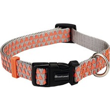 Odea Açık Gri Turuncu Renkli Köpek Boyun Tasması (35-50 Cm)