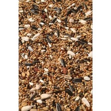 Odea 3 kg Karışık Papağan Yemi, Büyük Boy Ambalajda
