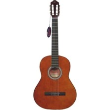 Odea 4/4 Klasik Gitar Seti, Kılıf, Pena ve Yedek Tel ile Birlikte