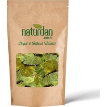 Naturdan Ayva Yaprağı - 3 kg