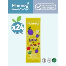 Erik Meyve Barı 24 Adet | Sağlıklı Atıştırmalıklar – Vegan, Glutensiz, Koruyucusuz (20GR x 24 Adet)