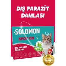 Solomon Kediler Için Dış Parazit Ense Deri Damlası Pire Bit Kene Deri Bakımı Için Bitkisel Damla 5x1 ml
