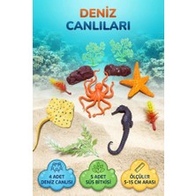 Farbu Oyuncak Deniz Dünyası Keşif Seti Renkli Akvaryum Figürleri Süs Bitkileri ve Deniz Canlıları Oyun Seti