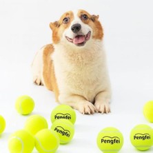 Odea Köpek Oyuncağı Tenis Topu 2'li Büyük Boy – Dayanıklı Kauçuk Iç Yapı, Diş Dostu Yumuşak Keçe Kaplama, Suya Dayanıklı, Hafif ve Esnek Yapı – Küçük ve Orta Irk Köpekler Için Getir-Oyunu Topu