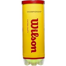Odea Champ Extra Duty Tennis Balls