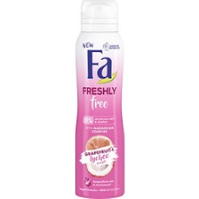 Odea Freshly Free Greyfurt & Liçi Deosprey 150 ml Kadın