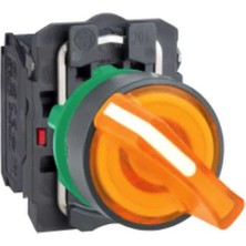 Cat AK2561-220V ,2-KONUM/KONTAK-1A SARI-220V Kalıcı M22 Anahtar