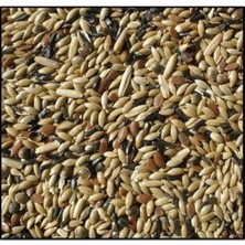 Odea Kanarya Yemi Karışık (3 kg Açık)