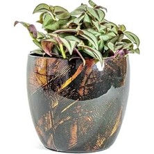 Odea Vive Siyah Metal Saksı M 17X15 cm