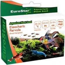 Odea Bitki Tohumu Eleocharis Parvula          [enerji Sınıfı A]
