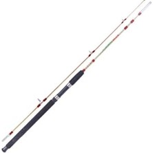 Odea Bauer Crystal 1.65M 100-200G Tekne Kamışı