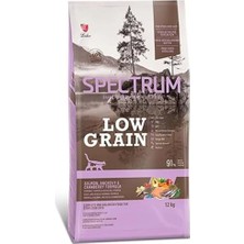 Odea Lg Somon Hamsi Kısırlaştırılmıştır Yetişkin Kedi 12 Kilogram