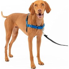 Odea Easy Walk Köpek Koşum Takımı.