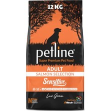 Odea Sensitive Skin & Coat Kuru Köpek Sı, Deri ve Tüy Hassasiyeti Olan, Yetişkin Köpekler Için, Tahılsız, Somon Balıklı, 12KG