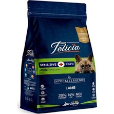 Odea Az Tahıllı 6 kg Yetişkin Kuzulu Small/mini Hypoallergenic Köpek Sı