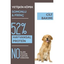 Odea Zemus  Derma Care Somonlu ve Pirinçli Köpek Sı 15KG