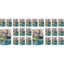 Odea Mystic Yetişkin Köpek Balıklı ve Jöleli Konserve Yaş  400 gr x 12 Adet (2 Paketi)