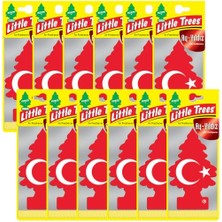Odea Car Freshner Asma Koku Ay-Yıldız 12'li