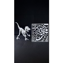 Staau Çocuk 3D Dinozor Iskelet Puzzle – Kur Birleştir Eğitici Dinozor Maketi ve Iskelet Yapbozu - Pteranodon