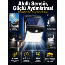 Dp-53 Duvar Lambası - Lisinya