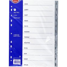 Asitan Noki 59280 Ayraç