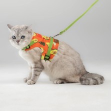 Asitan Kaçış Önleyici Kedi Gezdirme Tasması ve Küçük Irk Köpek Gezdirme Tasması (M, Avokado)