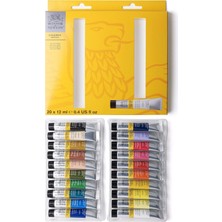 Asitan Winsor & Newton 2190606 Galeria Akrilik Boya Seti, Çok Renkli, 20 Renk Başlangıç Seti, 240 Milil