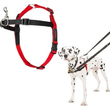 Asitan Company Of Animals Halti Köpekler Için Önden Kontrollü Göğüs Tasması, Orta Boy
