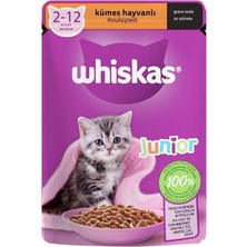 Asitan Kümes Hayvanlı Yavru Kedi Yaş Mama 85 G Tekli Paket