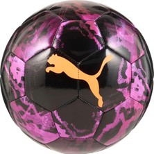 Asitan Puma Cup Graphic Ball Antrenman Topları