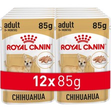 Asitan Royal Canin Adult Chihuahua Yetişkin Köpek Pouch Konserve 12 x 85 gr