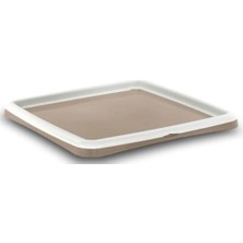 Asitan Lepus Mp Gastone S Köpek Çiş Eğitimi Pad 48X38X4CM