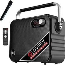 Asitan Oyility T-6 6,5 Inch 40 Watt Kablosuz El Mikrafonl