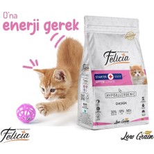 Asitan Tavuklu Yavru Kedi Maması 12 kg