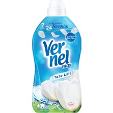 Asitan Max Taze Lale Kokulu 60 Yıkama Konsantre Çamaşır Yumuşatıcısı (1 x 1440 Ml)