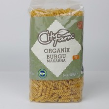 Asitan Organik Burgu Makarna 500 gr